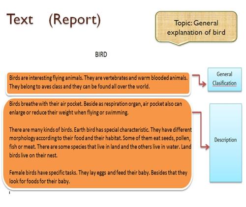 Report topics. Text descriptive. General topics. Жанры текста recount explanation description. Narrative text example.